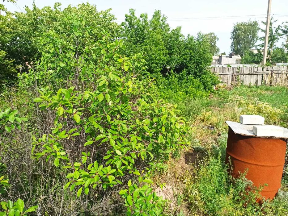 Продам дачу сад "Северный"