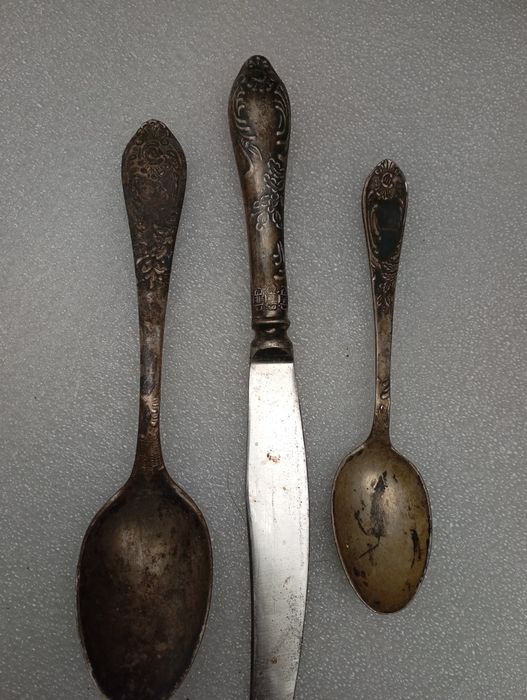 Прадам мильхиор ложки