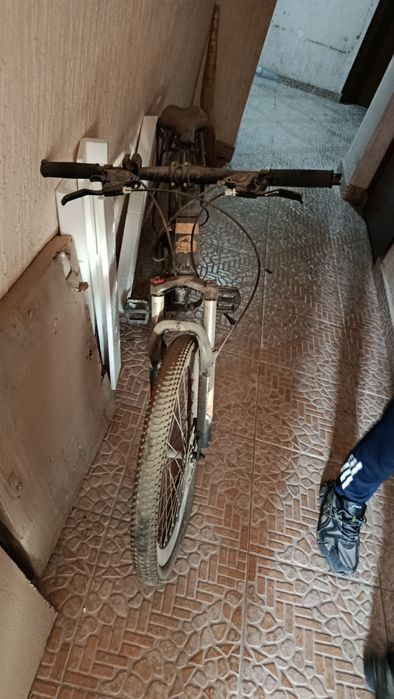 Velosiped Sport...