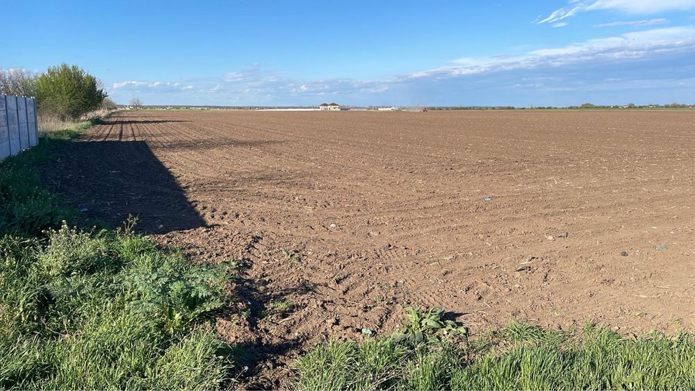 Teren intravilan Dascalu 18000  m2 #direct proprietar