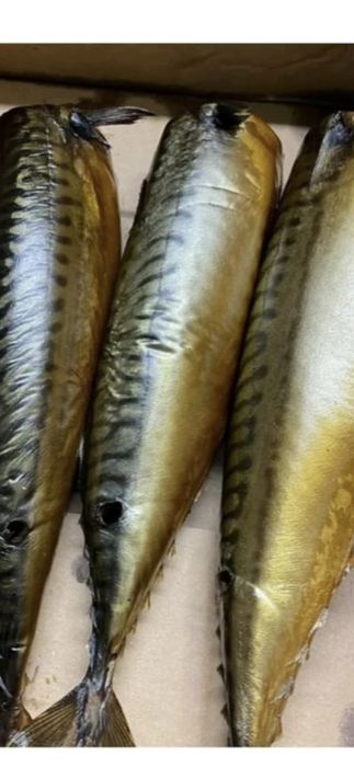 Коптим сало,мясо,рыбу