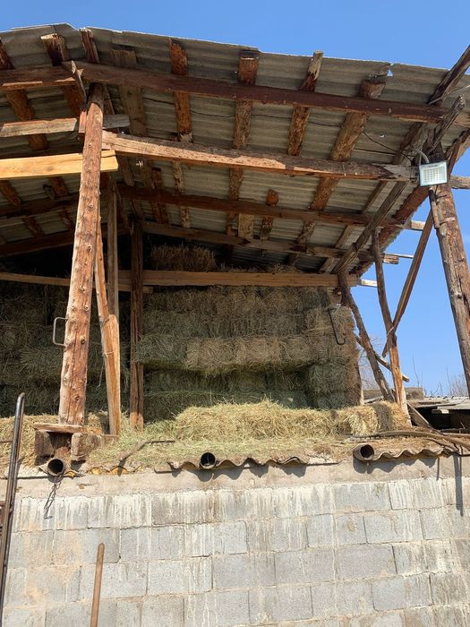 Сено. Шөп в тюках