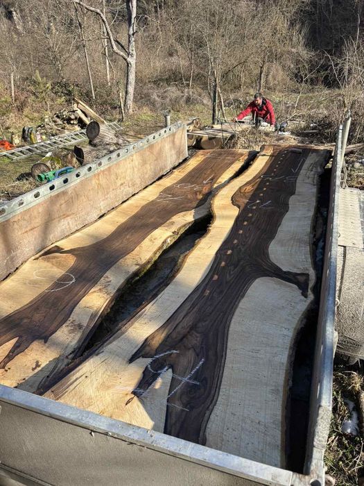 Големи янове орех