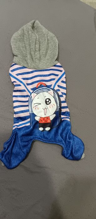 Одежда для маленькой собачки.