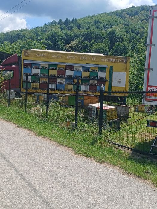 Vand Stupină cu Albine Bio