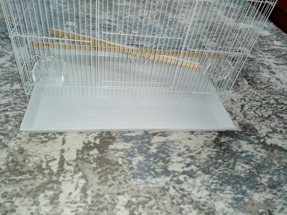 Клетка для птиц. Попугай голубь.