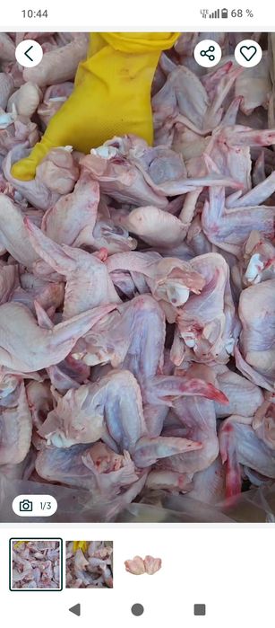 Окорчка филе крыло