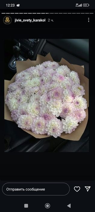 Клубни цветов гергины