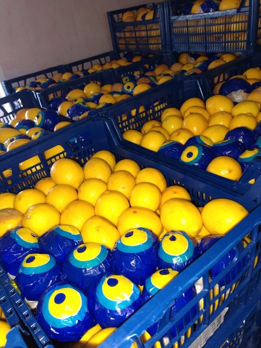 АКЦИЯ! Лимон Турецкий!