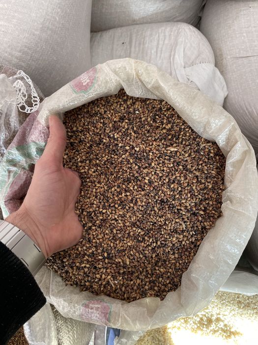 Srot floare ,Srot Soia , Srot Lucerna ,Mei ,Sorg , Uruiala