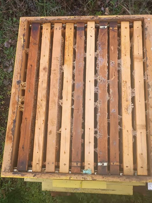 Продавам кошери ДБ 10 рамкови