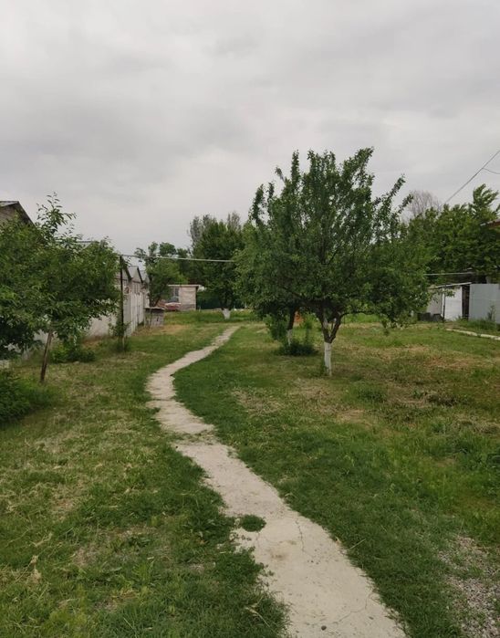 Обработка деревьев и кустарников. Фумигация растений