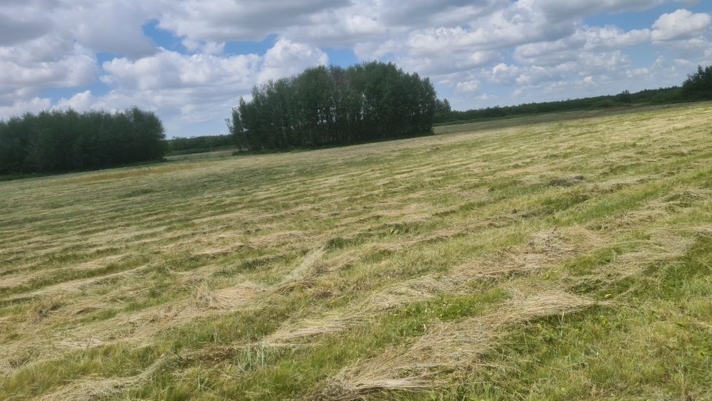 Сено в рулонах разнотравье