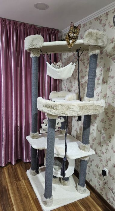 Дома-когтеточки. Высота домика 2.0метра