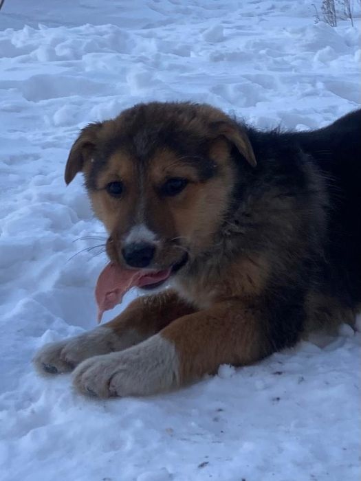 Дружные, весёлые, неразлучные.