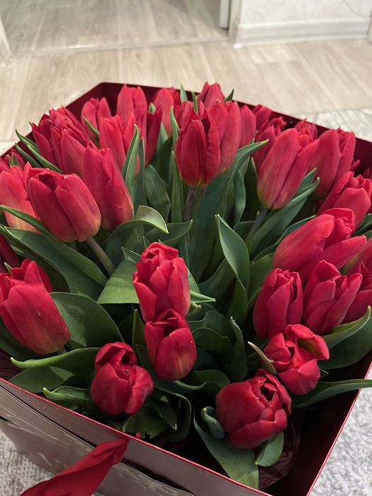 Свежий Тюльпан гүлі сатылады