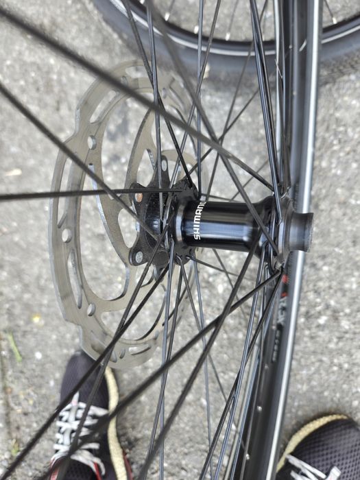 Roti bicicleta 29