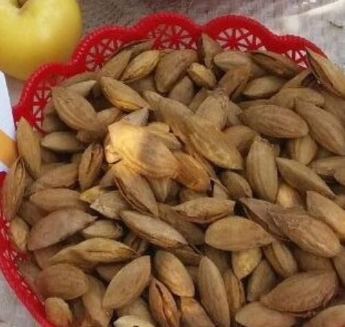 Бодом кўчатларисотувда