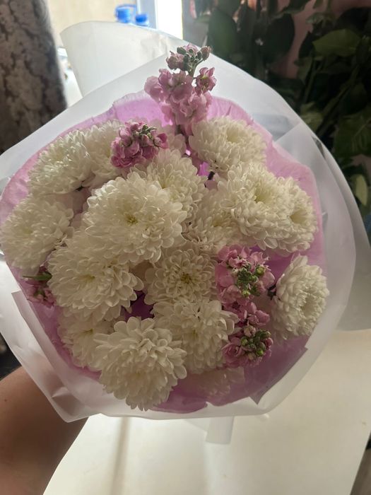 Красные розы, цветы