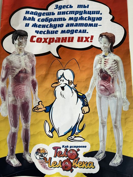 Набор детских книг "Анатомия человека"