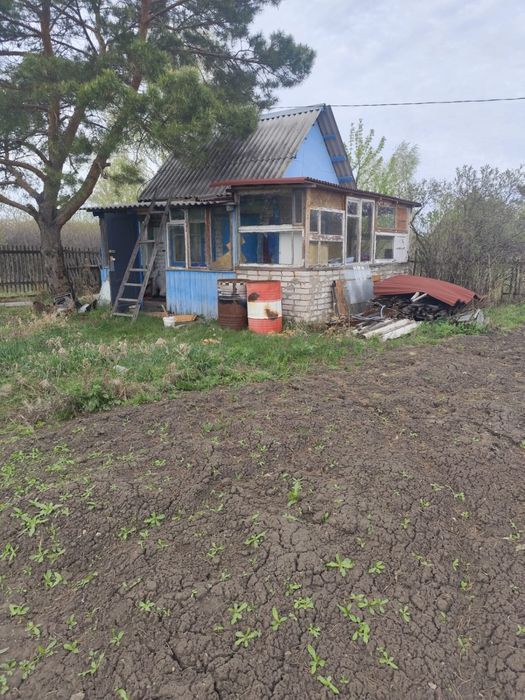 Продам дачу. Тихая роща