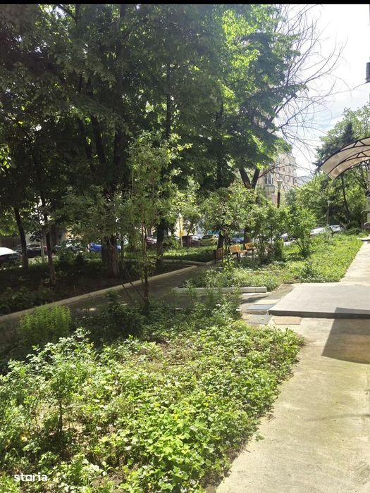 Apartament cochet in zona Matei Voievod -