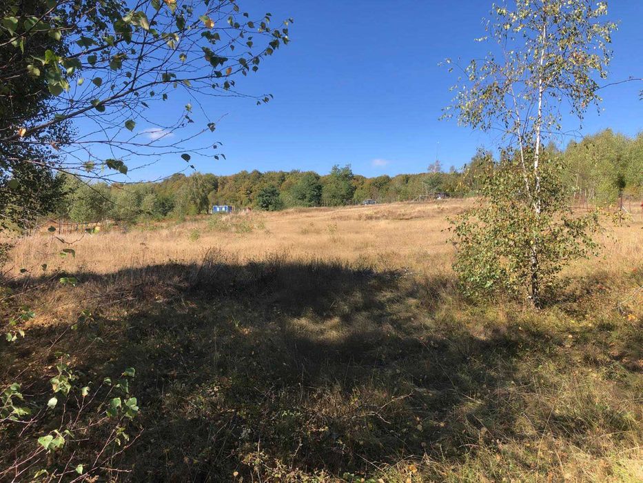 Teren intravilan Salicea 920 mp