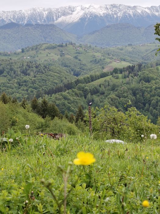 OPORTUNITATE Teren cu panoramă 360° – Drumul Carului (DN73), Moieciu