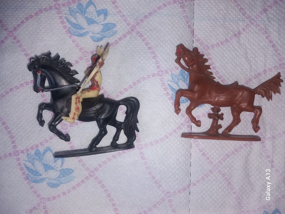 Indian și 2 cai din W germany