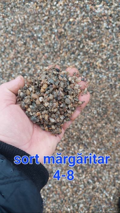 Transport.  nisip  sort piatră pământ gazon  etc.