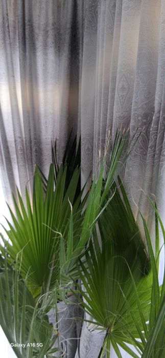 Плътни завеси 8бр. + 8бр. колани за стена