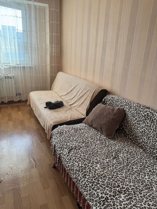 Нужна девушка на подселение