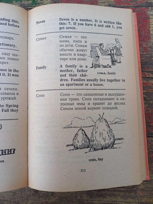 Англо-русский словарь школьника с иллюстрациями