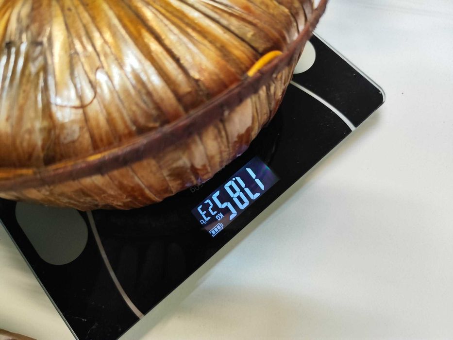 Transformator toroidal industrial 2,5 kVA – 2×46 V / 27 A + 2×12 V aux