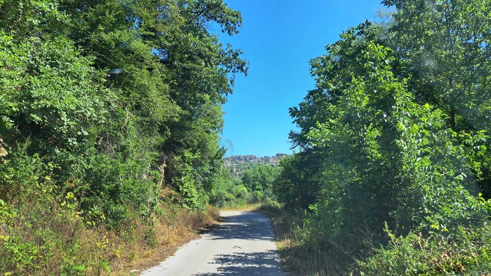 Продава се Къща в с. Пролазница, Област Видин - 70 кв.м за 160 €/кв.м - Снимка #4