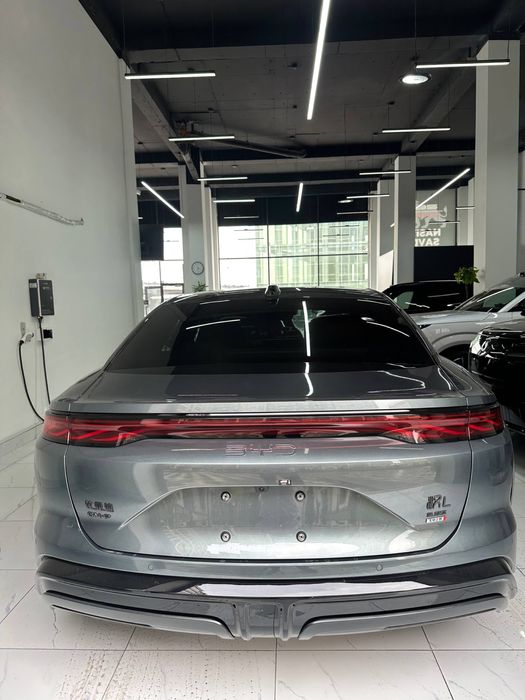 Byd ham L DM-P 4 WD gibrid 3.9 sekund