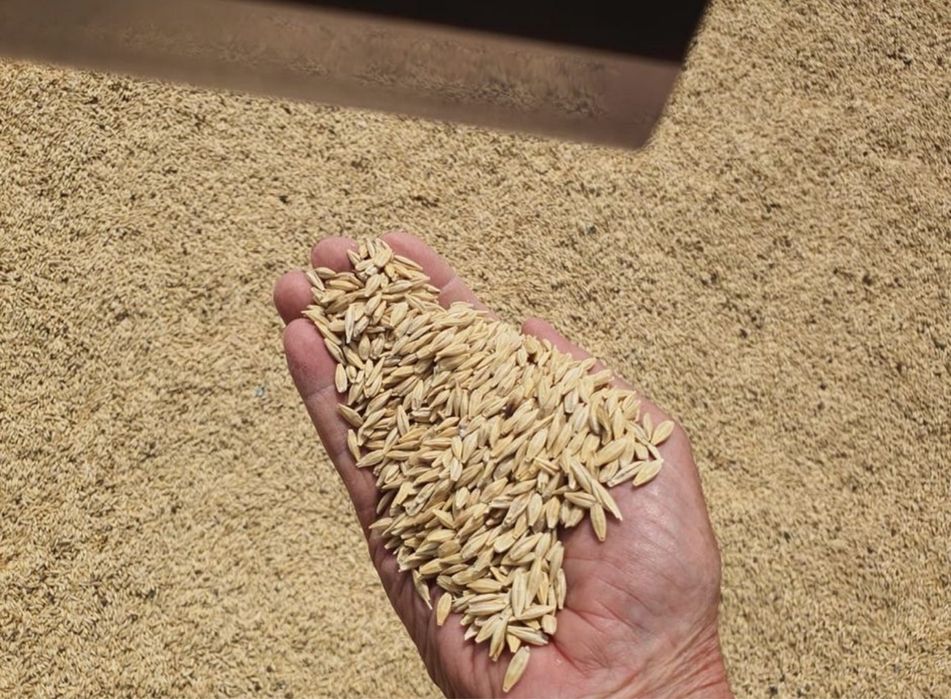 Корма всех видов