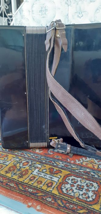 Акардион немецский