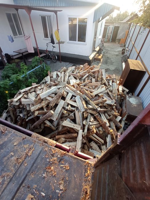 Дрова колотые (берёза, осина сосна)