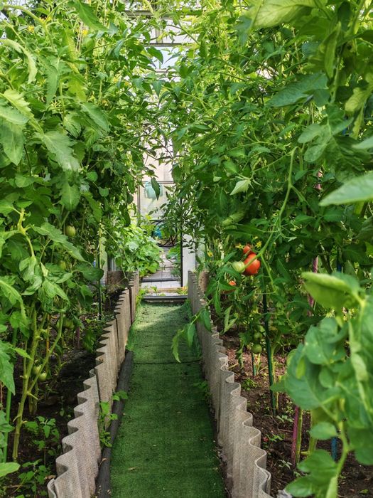 Продам красивую дачу