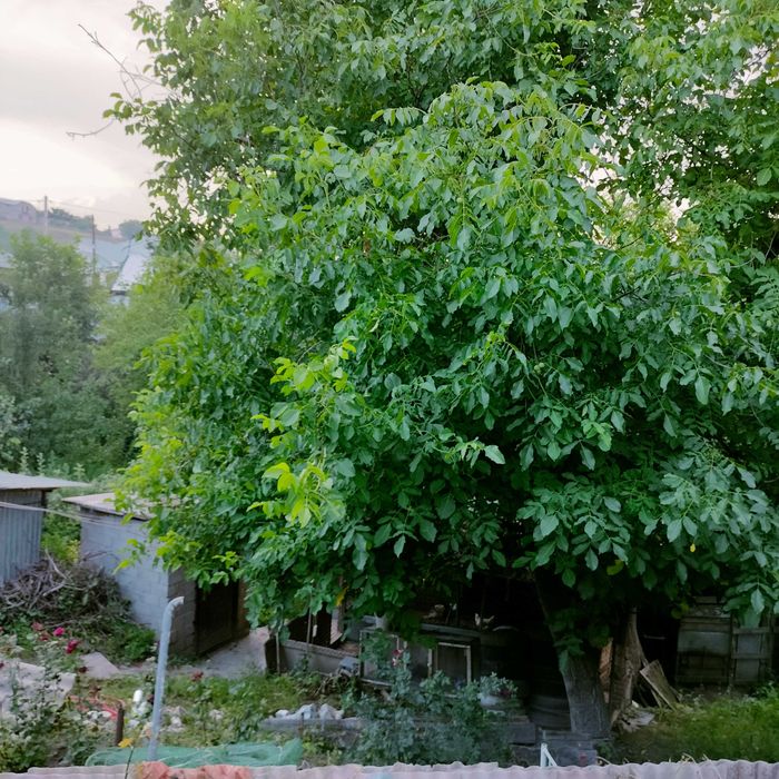 Частный дом,г Ленгер,ул.Акбулак д2