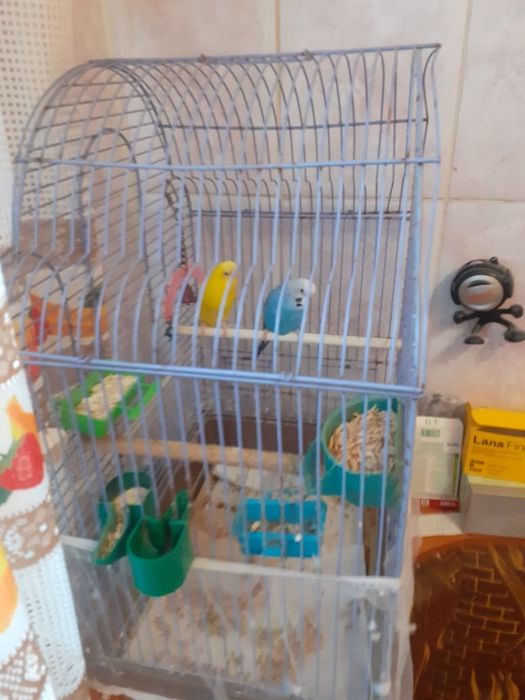Клетка большая для попугаев продаю