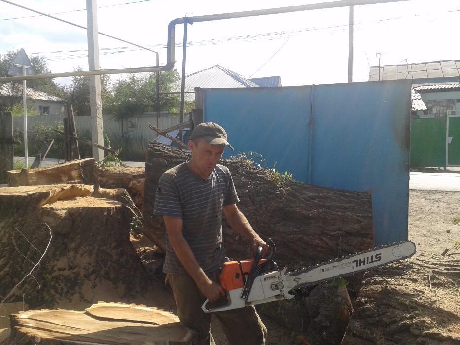 спилим распилим деревья,обрезка плодовых