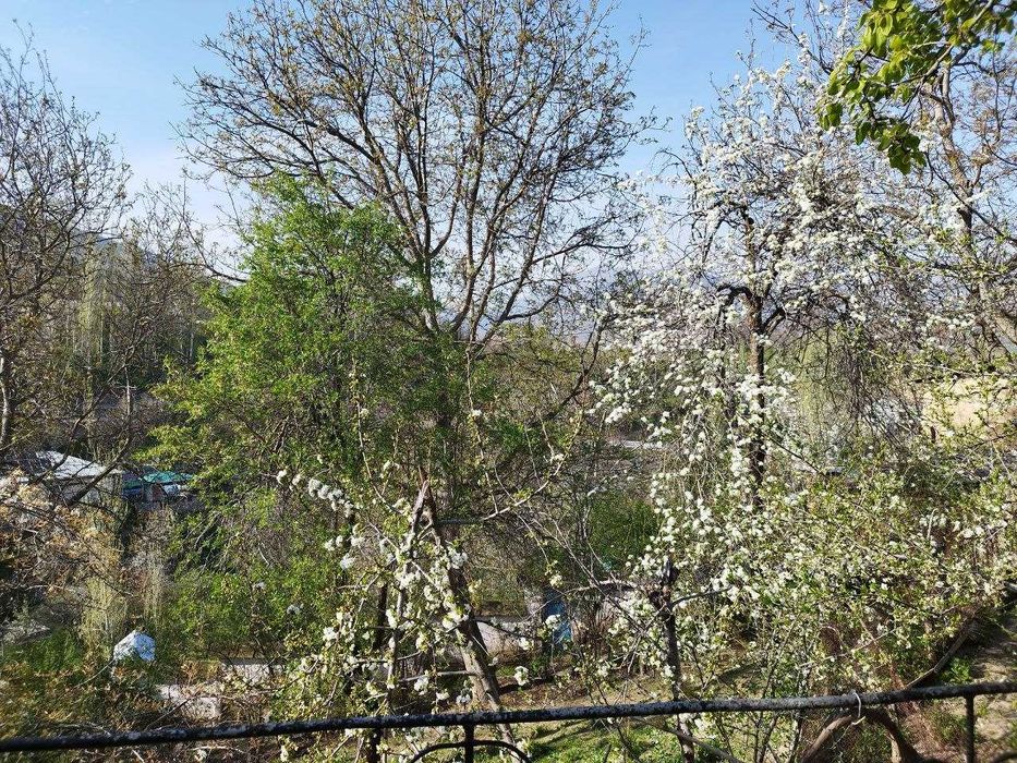 Продается дача 4 сот в горах Чинор