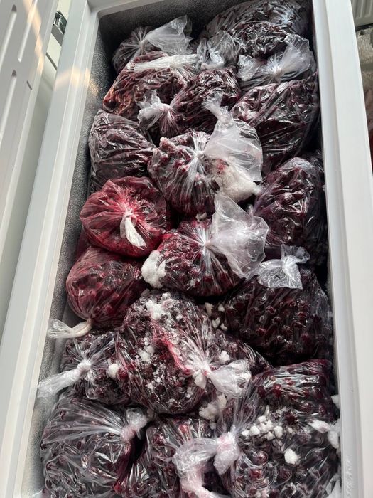 Вишня шпанка без косточки 60.000 сум за кг