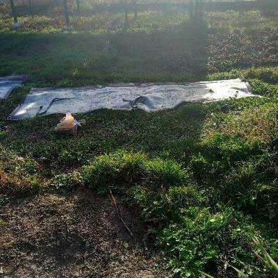 Ветроупорни Завеси 2бр.