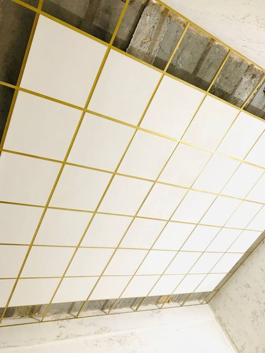 Аримстирог 60.60 паталог