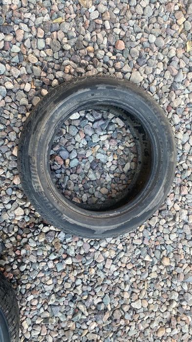 Жаздык донгелектер