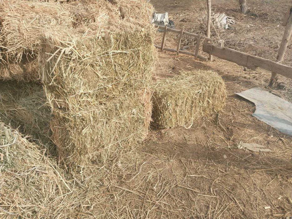 Беда пресс сотилади (тоза)