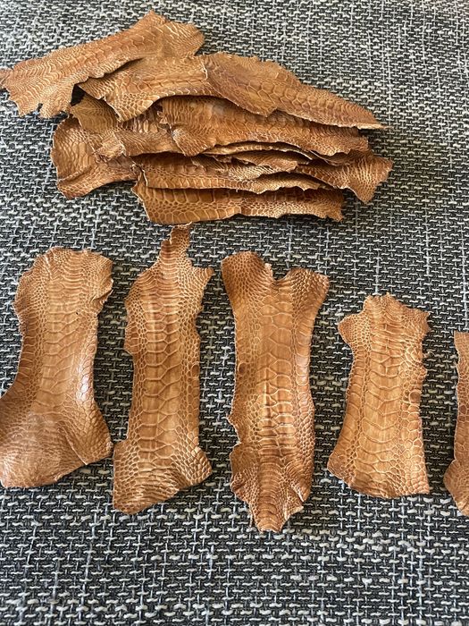 Petice piele de șarpe